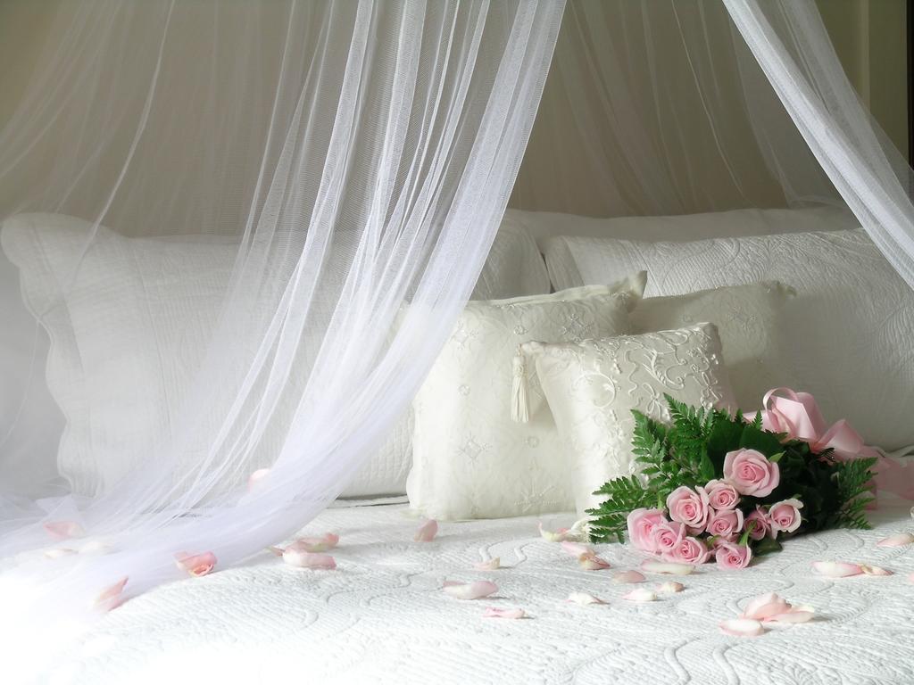 Plantation House Bed & Breakfast Port Hope Ruang foto