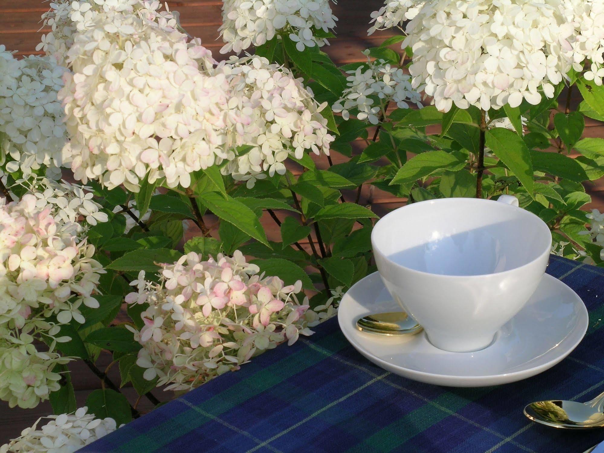 Plantation House Bed & Breakfast Port Hope Bagian luar foto